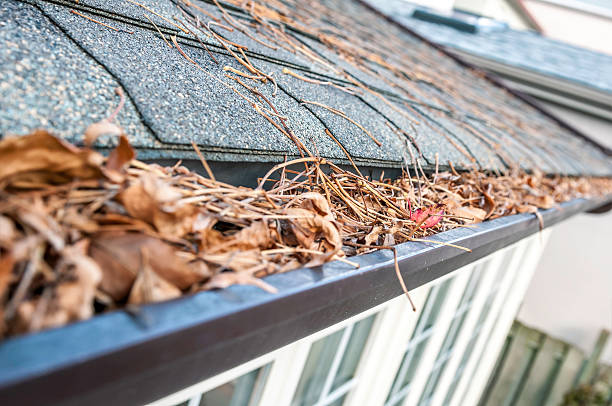 Eaves Trough Cleaning in Guelph